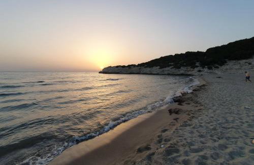 Villa Dunes 350m from the sandy beach - Foto 21