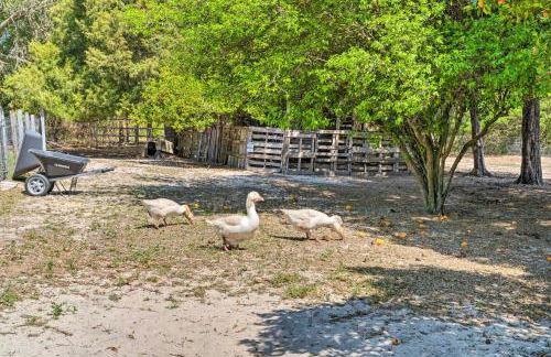 The Clubhouse - Lady Lake Farm Getaway! - Foto 34