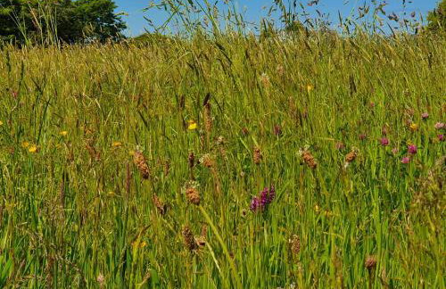 Cornwall Luxury Hot Tub Huts - Foto 29