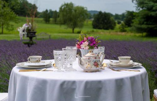 LeFay Cottage at Little Washington - Foto 26