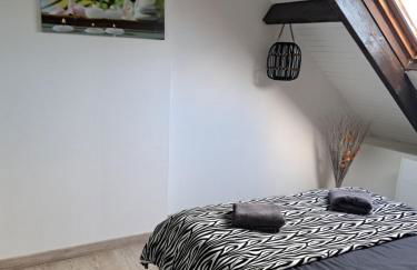 L'Hirondelle - Foto 9