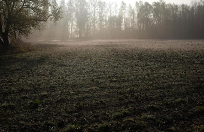 Scherpenheuvel Garden Home - Photo 34