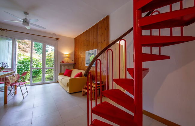 Rododendro Rosso - Foto 6