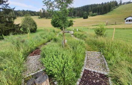 Ferienwohnung Seeblick mit Balkon - Mein Schwarzwaldhäusle - Foto 28