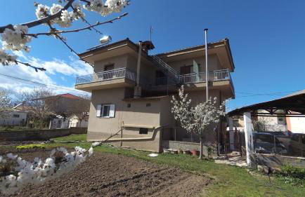 Fofi's Place - Photo 2