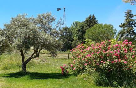Monte Da Serralheira Agro Turismo - Foto 62