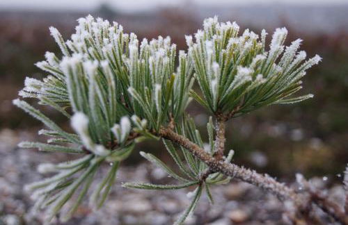 Corner Cottage - character, charm, great location. - Foto 77