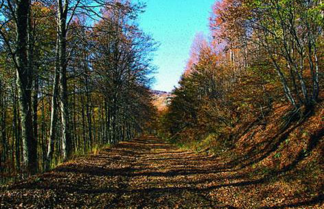 Villa Kastanodasos - Foto 26