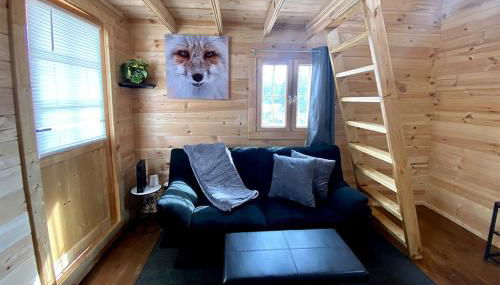 Remote and Serene Lakefront Cabin in Cantwell, Alaska, with Gorgeous Views of Nations Mountain - Foto 2