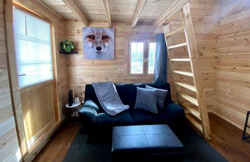 Remote and Serene Lakefront Cabin in Cantwell, Alaska, with Gorgeous Views of Nations Mountain - Foto 2