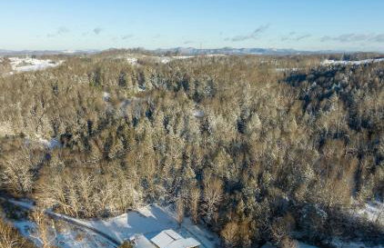 Ascension Cabin - hot tub, fire pit, babbling brook - Foto 16