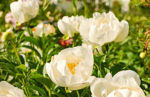 The Waldoboro Inn - Foto 2