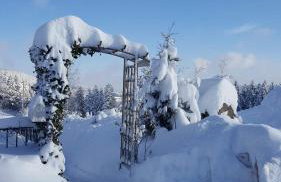 Fewo Fuchs - Foto 31