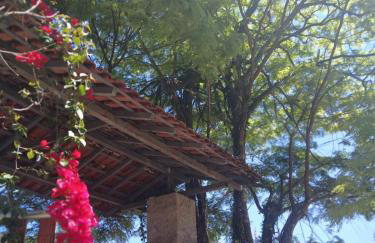 Chácara Favo de Mel - Foto 28