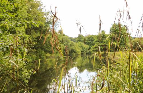 Lakeside Lodge - Foto 51