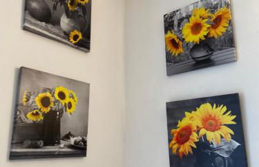 Agritur Girasole - Foto 60