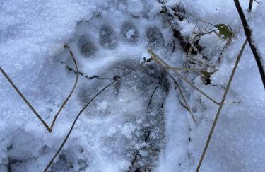 Wieża Krajna - Foto 80