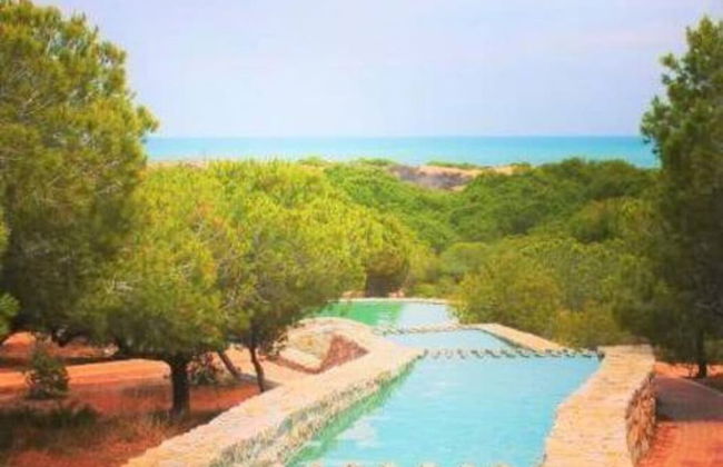 Balcon de Lomas La Mata Torrevieja - Foto 31