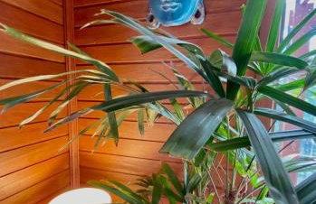 CHALÉ MONTANHÊS ALPES - Foto 10