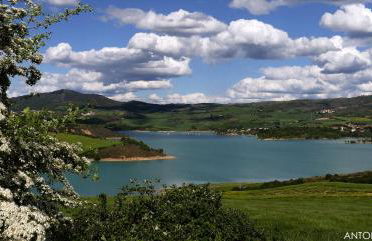 Nekasenea II - Foto 28