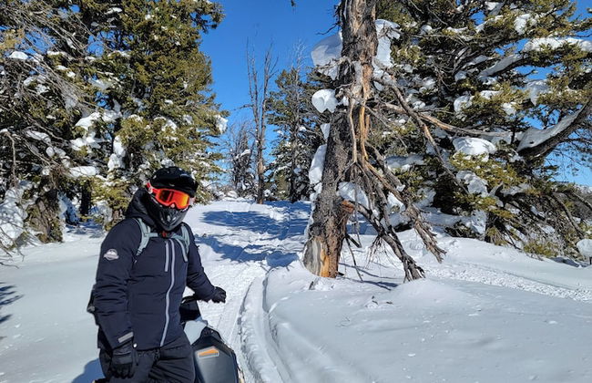 Glenn Haven by Cloud Dream Homes - Foto 33