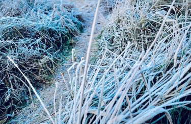 Ferienhaus am Strand - Foto 36