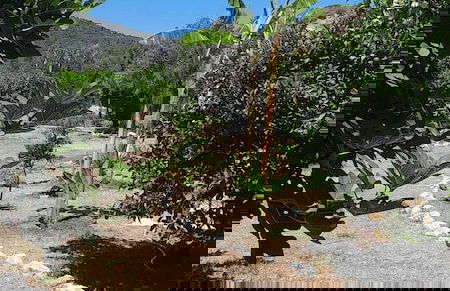 Casa Terra is Near Hillside Area Airport Beach - Foto 57