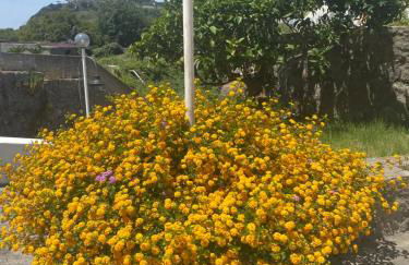 villa martina suite apartament - Foto 6