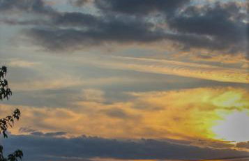 Contractor Friendly 2-Bed - Fast Wi-Fi & Netflix - Photo 17