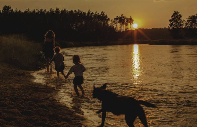 Stara Wieś Resort & Odnowa - Foto 45