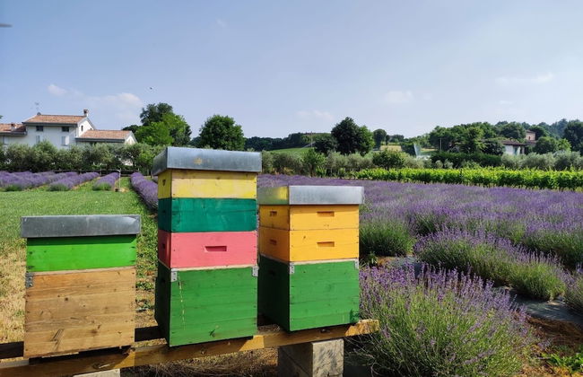 Agriturismo Corte Davini - Foto 70