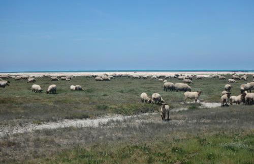 Chez Maria - Foto 57