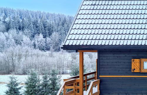 Osada Sierpnica - Uroczy dom z kominkiem i balią w Górach Sowich - Foto 42