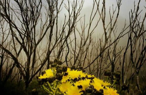 Casa La Bodega - Foto 10