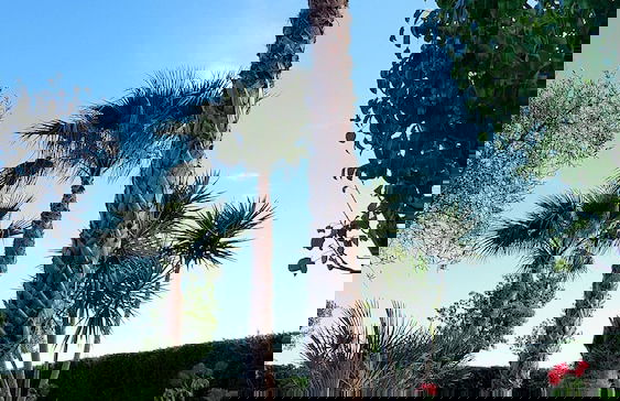 Villa Gina - Torre San Giovanni - Foto 20