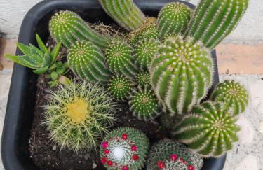 Appartamento Rosanna - Foto 39