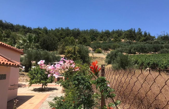 Private Two-house Villa With Pool in Olive Garden - Foto 51