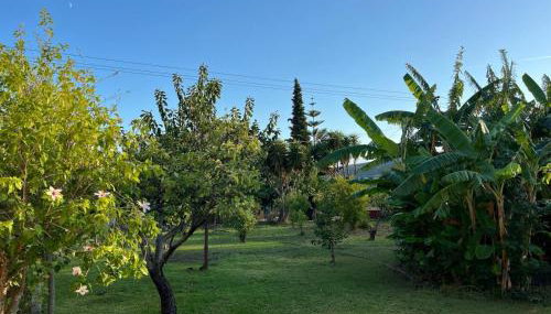 Anabelis studios & apartments - Foto 3