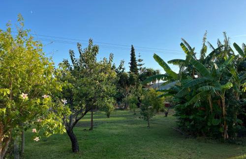 Anabelis studios & apartments - Foto 3