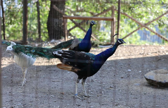 Agriturismo San Cataldo Farm Home - Photo 61