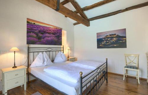 Villa Leopoldo by Istrian Country Houses - Photo 24