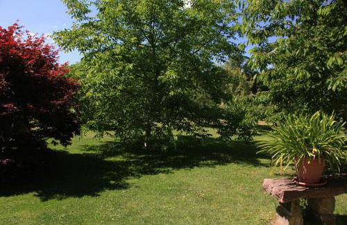 Fewo Am Geyersberg - Foto 17