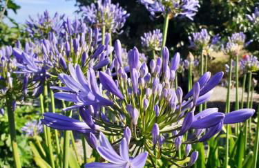 Casa-Estaro - Foto 18