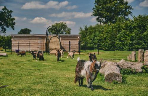 Whispering Leaves - Photo 19