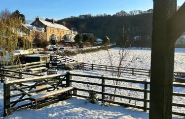 Shepherds hut, Eco, Log burner Hot tub NY moors - Foto 7