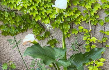 Le Clos Bussy - Foto 20