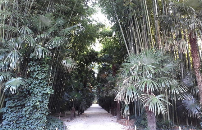 Nice Holiday Home With Private Terrace, Arpaillargues-et-aureillac - Photo 21