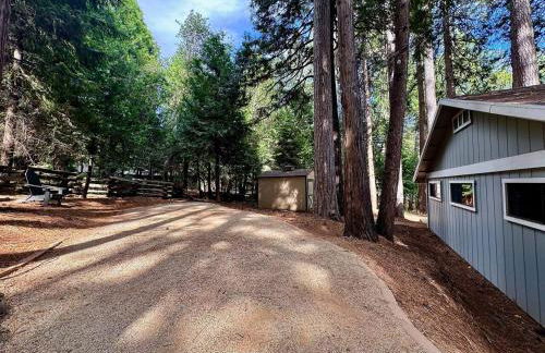 Cabin in the Trees-Game Room - Foto 50