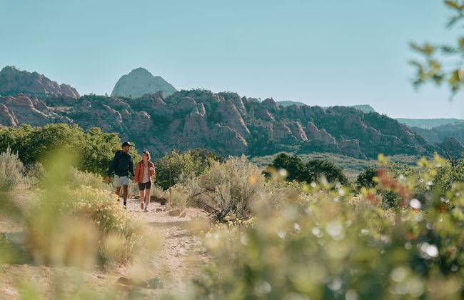 AutoCamp Zion - Foto 50