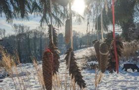 Gartenblick - Foto 48